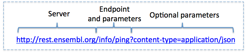 Structure of a URL